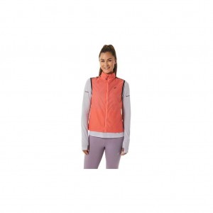 Papaya Asics 2012C748.700 Metarun Packable Vest Jackets & Outerwear | HXZDM-4625
